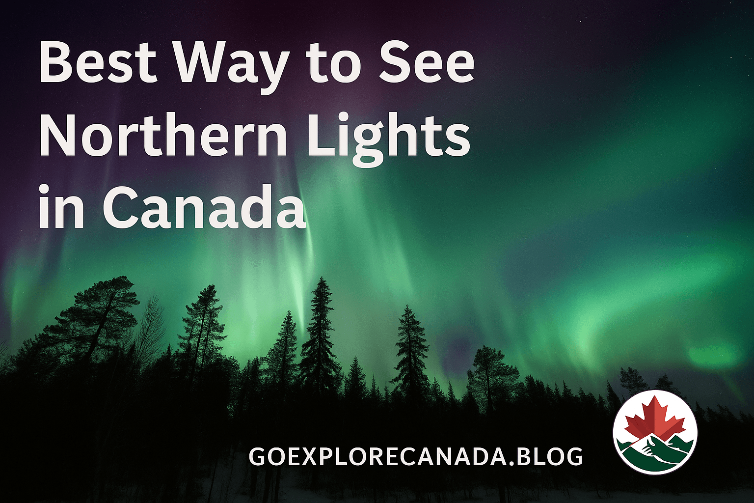 Bright green and purple northern lights dancing above tall pine trees