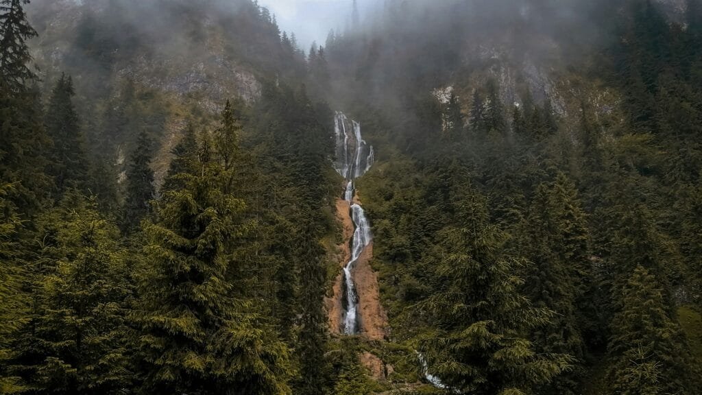 Trail through the forest leading to Troll Falls in Kananaskis