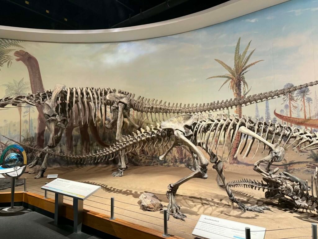 Real fossils discovered in Alberta at Royal Tyrrell Museum